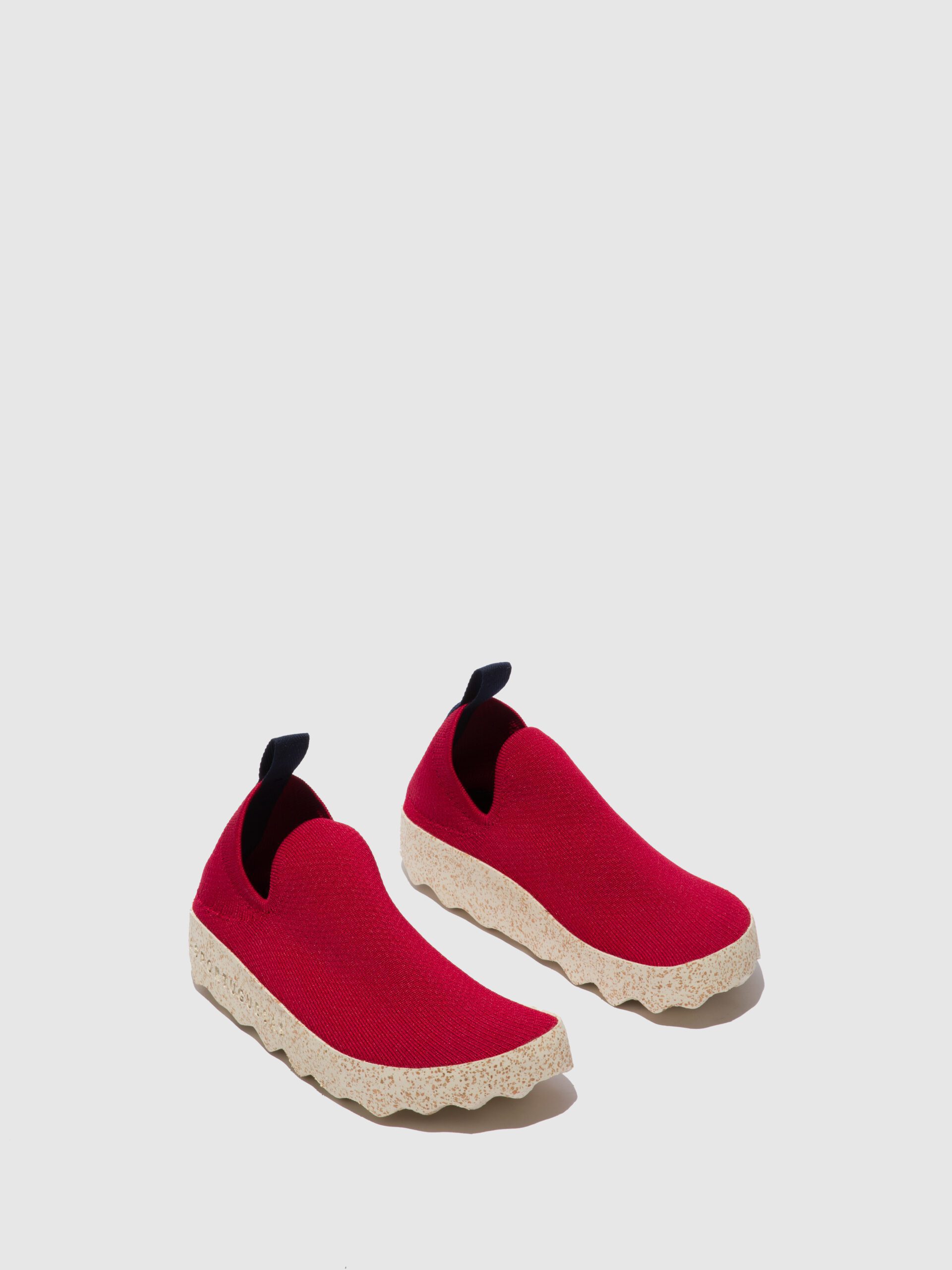Sapatos / Shoes CARE - Image 6