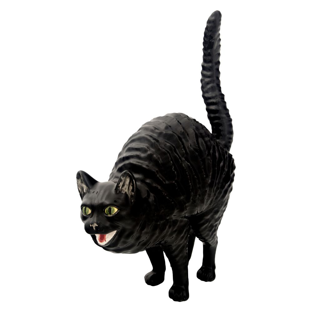 Gato Assanhado